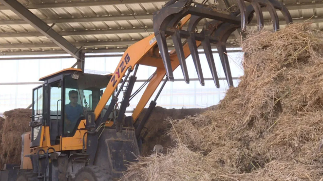 202106111623383039117287.png image.png