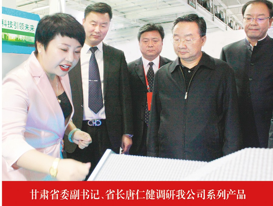 甘肅省委副書記、省長唐仁健調(diào)研我公司系列產(chǎn)品