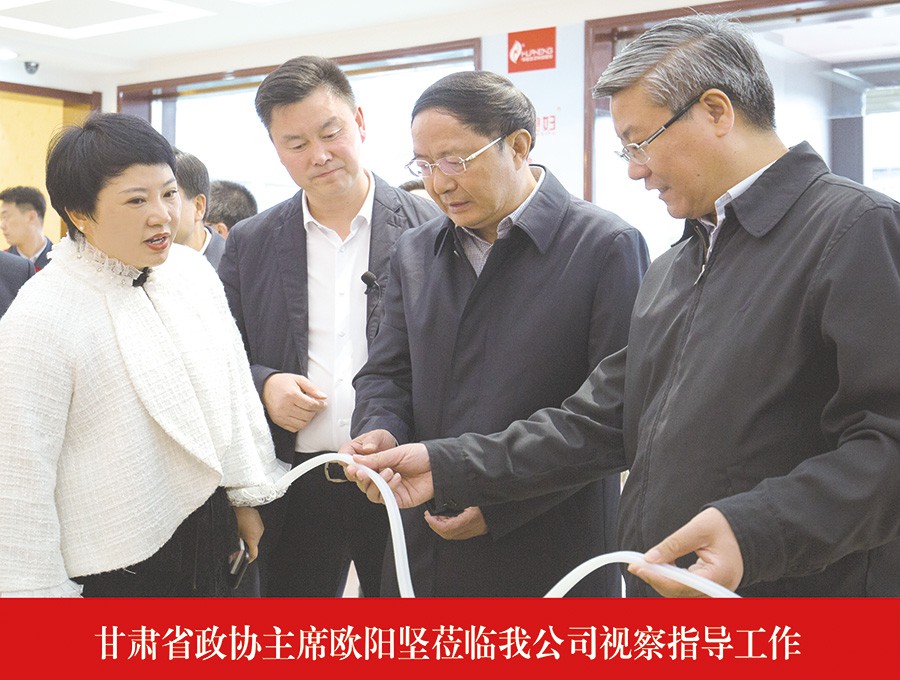 甘肅省政協(xié)主席歐陽堅蒞臨我公司視察指導工作