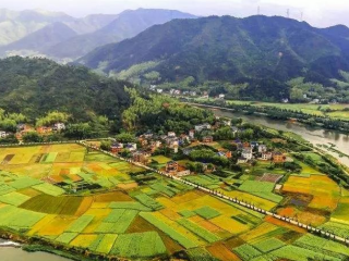 近日，甘肅省人民政府辦公廳關(guān)于對(duì)省鄉(xiāng)村振興局（原省扶貧辦）、省農(nóng)業(yè)農(nóng)村廳、省教育廳、玉門(mén)市、卓尼縣予以表?yè)P(yáng)的通報(bào)。根據(jù)《國(guó)務(wù)院辦公廳關(guān)于對(duì)2020年落實(shí)有關(guān)重大政策措施真抓實(shí)干成效明顯地方予以督查激勵(lì)